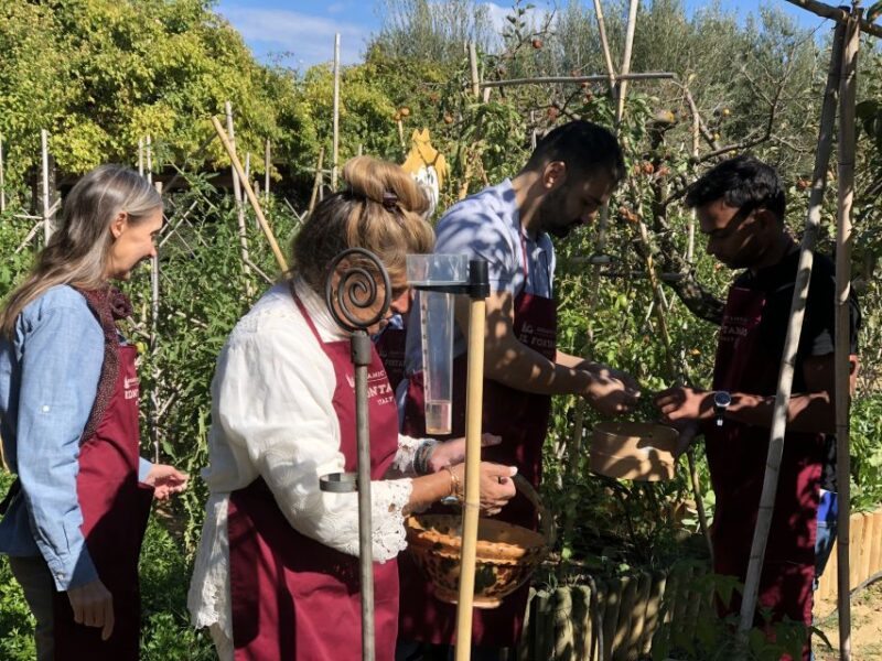 Paciano: Organic Cooking Class at a Farm With Lunch & Wine - Accommodations and Accessibility