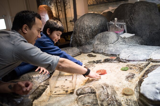 Pacific Science Center General Exhibit Admission - Immersive Planetarium Shows