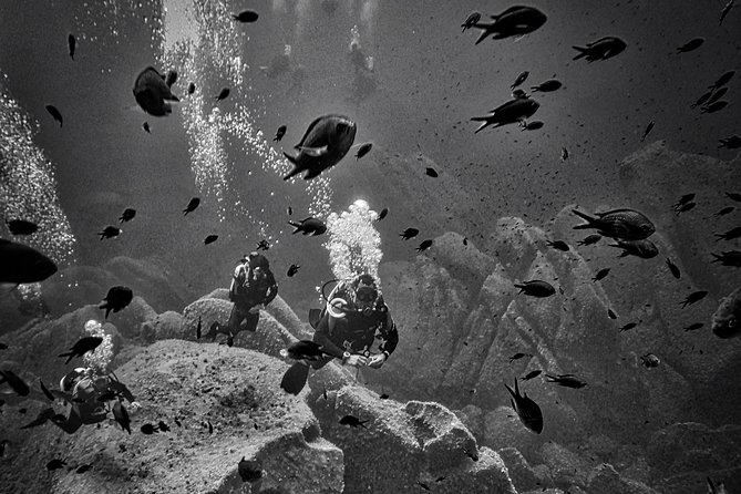 Package of 4 Double Dives in the Capo Carbonara Marine Protected Area - Cancellation Policy