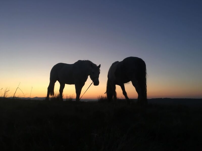 Packhorse Picnic Lake District Full Circle Experiences - Key Points
