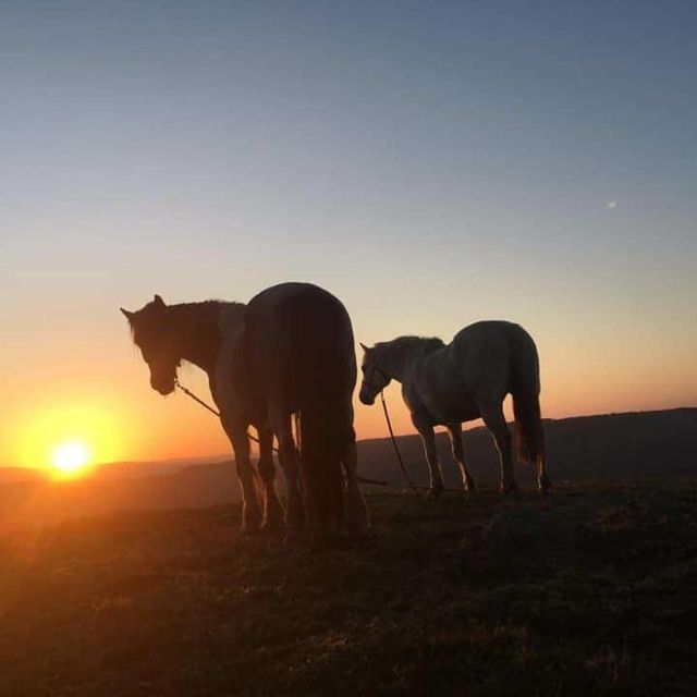 Packhorse Picnic Lake District Full Circle Experiences - Packhorse Picnic: A Unique Experience