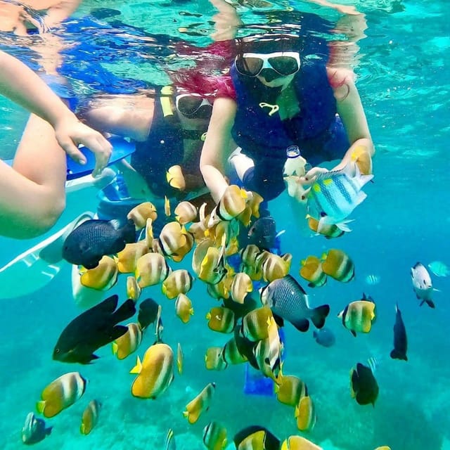 Padang Bai Snorkeling Package - Key Points
