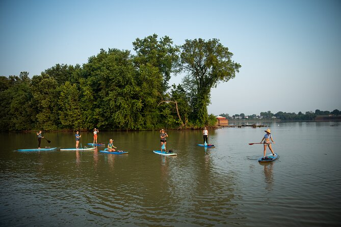 Paddle and Explore: Downtown Louisville River Tour - Reviews