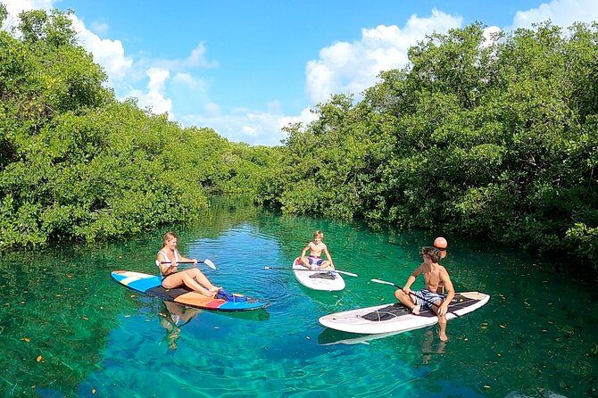 Paddle and Snorkel in Cenote - Riviera Maya - Meeting and Pickup