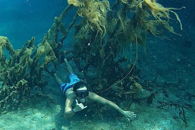 Paddle and Snorkel in Cenote - Riviera Maya - Traveler Reviews