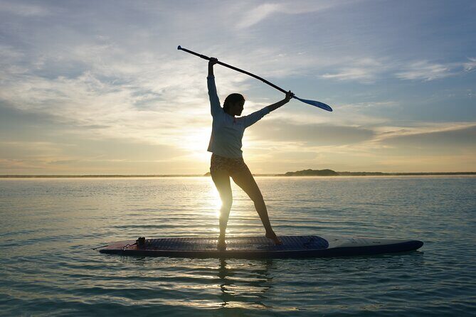 Paddle at Dawn with visit to Cenotes and Islands - An Inviting Introduction to Bacalar’s Dawn Paddle