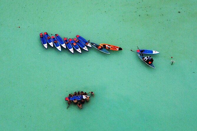 Paddle at Dawn with visit to Cenotes and Islands - What Travelers Say About This Experience