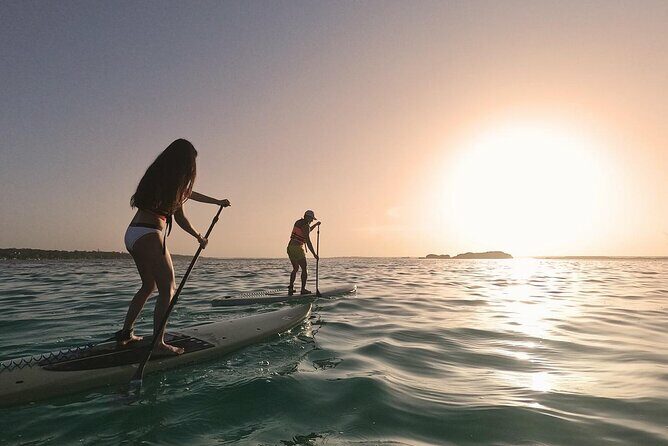 Paddle at Dawn with visit to Cenotes and Islands - Who Should Book This Tour?