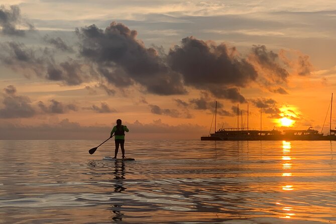 Paddle Board at Sunrise or Sunset in Cancun - What to Expect on the Tour