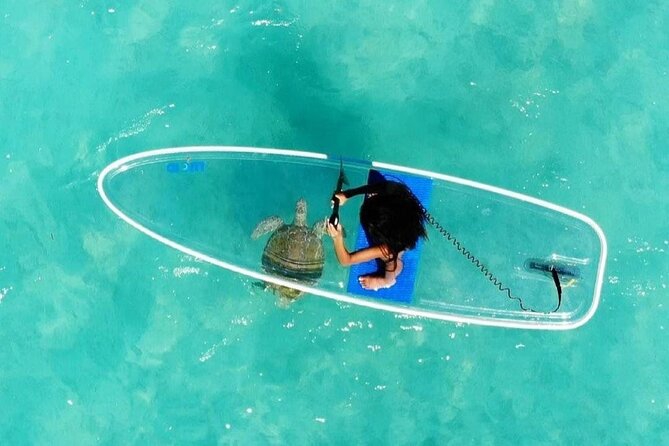 Paddle Board Experience in Turks & Caicos Islands - Navigating the Turquoise Turks & Caicos