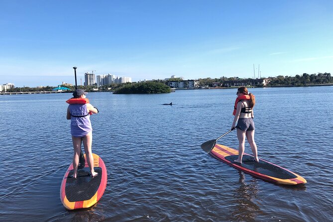 Paddle Board Rental - Customer Feedback