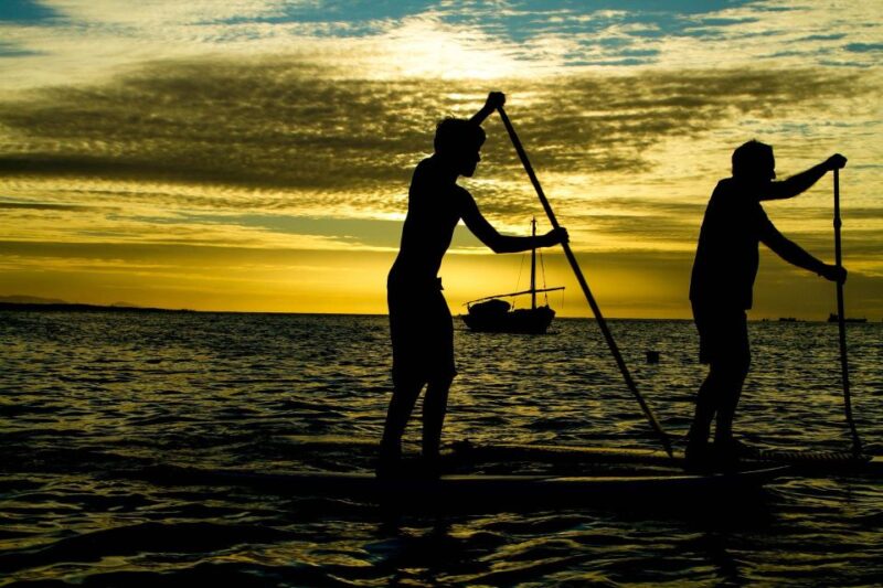 Paddle Board Rental: Glide on the Water With Ease - Key Points