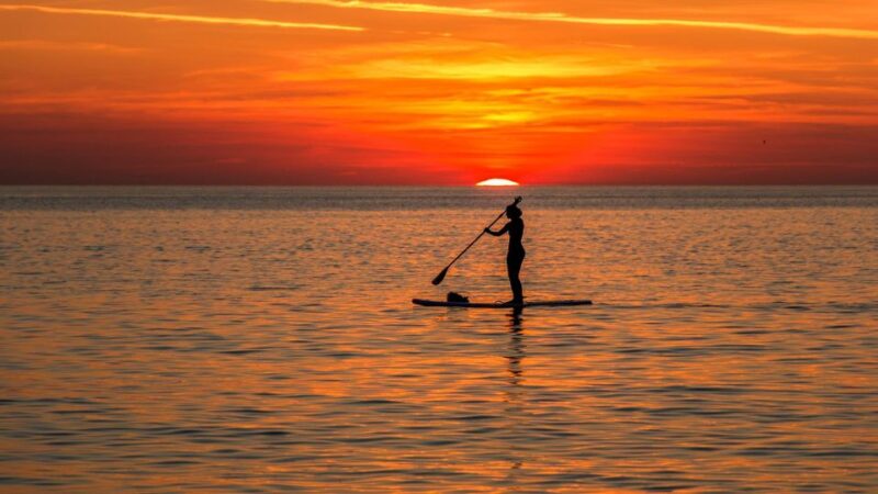 Paddle Board Rental: Glide on the Water With Ease - Experience Highlights