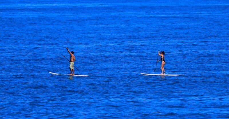Paddle Board - Booking Information