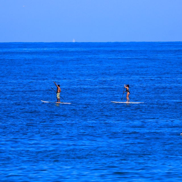 Paddle Board - Inclusions