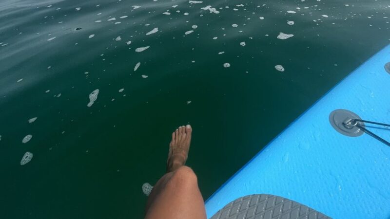 Paddle Boarding Along the Sparkling Coast of Dalmatia - Ideal for All Parties
