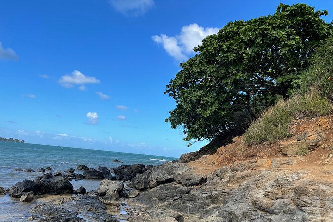 Paddle Boarding and Hiking Adventure at Mokolii Island. - Exploring Mokolii Island
