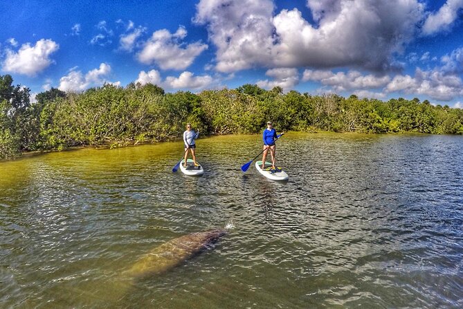 Paddle Boarding Eco Adventure Tour Jupiter Florida - Singer Island - Whats Included