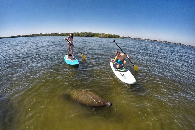 Paddle Boarding Eco Adventure Tour Jupiter Florida - Singer Island - Meeting and Pickup