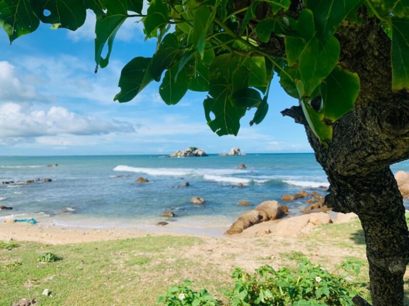 Paddle Boarding in Mount Lavinia - Important Notes
