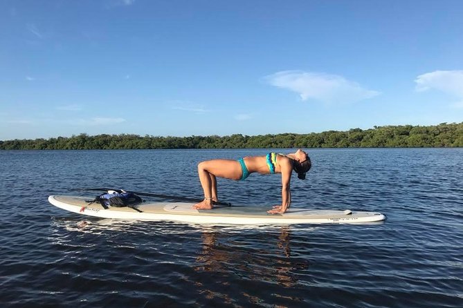 Paddle Boarding Rentals - Customer Reviews