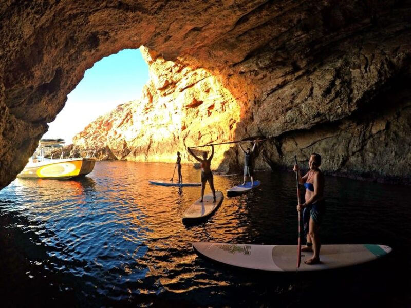 Paddle Surf Course - Key Points