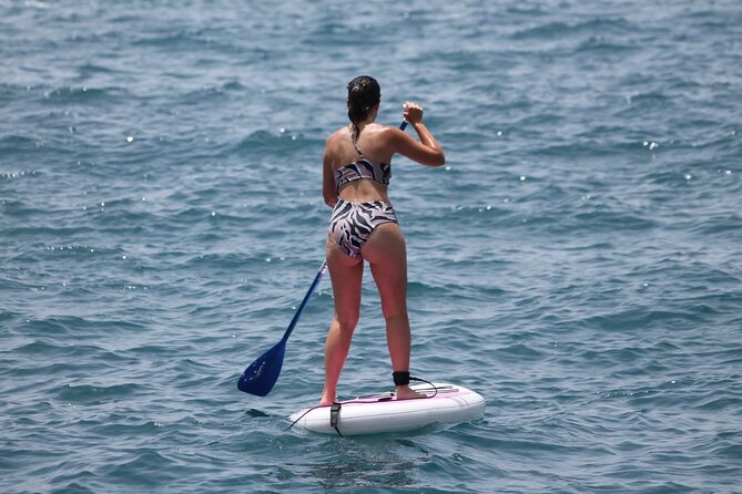 Paddle Surf - Schedule and Availability