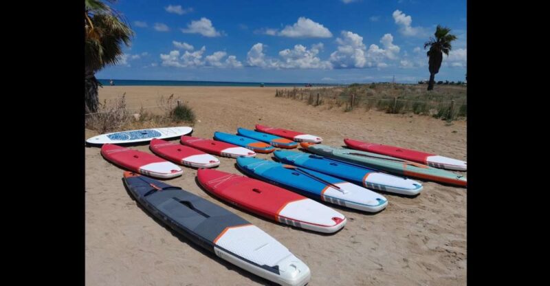 Paddle Surf Delivery Boards - Experience Highlights