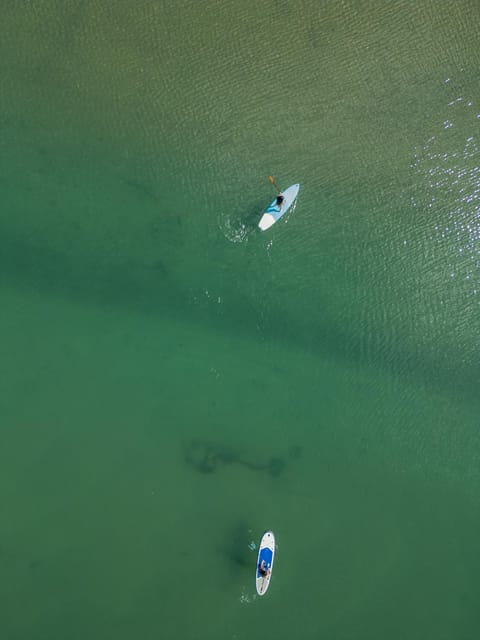 Paddle Surf or Kayak on the Arnoia River - What to Expect