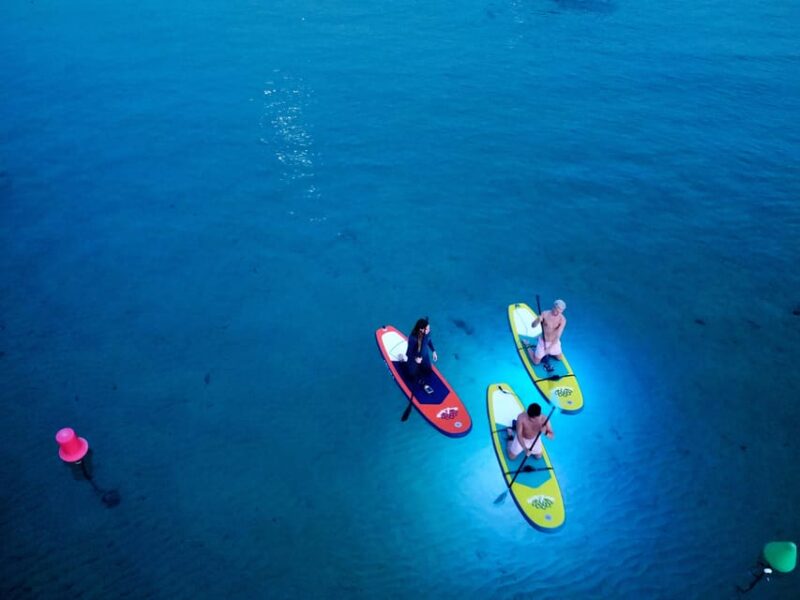 Paddle Surf With Led Lights at Sunset in Menorca - Inclusions