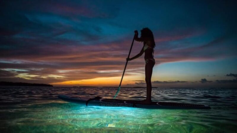 Paddle Surf With Led Lights in Menorca - Key Points