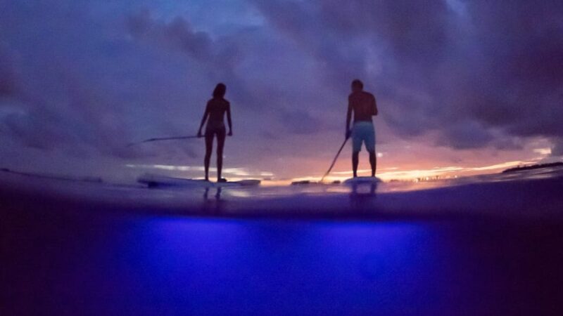 Paddle Surf With Led Lights in Menorca - Participant Requirements