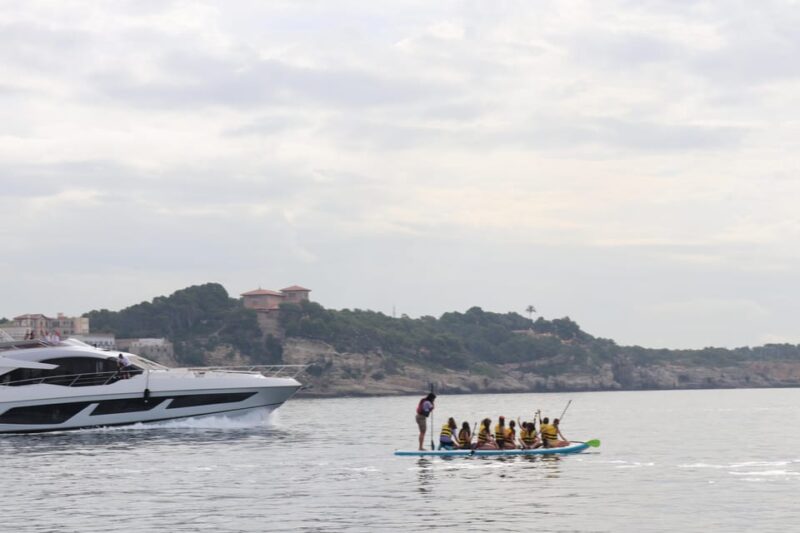 Paddle Surf Xxl - Key Points