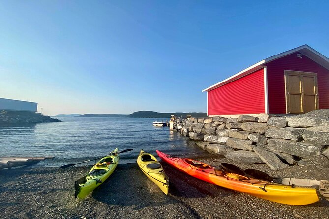 Paddle the Bay of Islands: 2 Hours Guided Kayak Experience - Recommended Fitness Level
