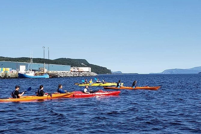 Paddle the Bay of Islands: 2 Hours Guided Kayak Experience - Booking Confirmation Details