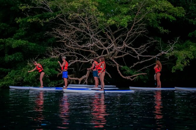 Paddle With Adventure Lab at Sunrise! - Inclusions and Whats Provided