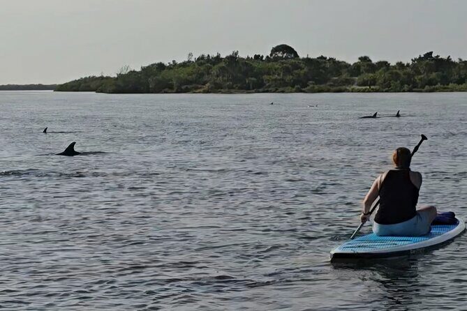 Paddle With Native Wildlife - Final Thoughts