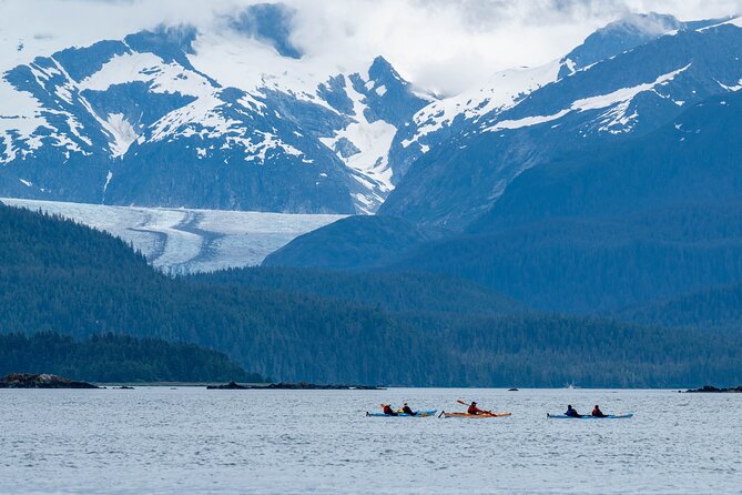 Paddle With Whales! Kayak Adventure - Inclusion and Requirements