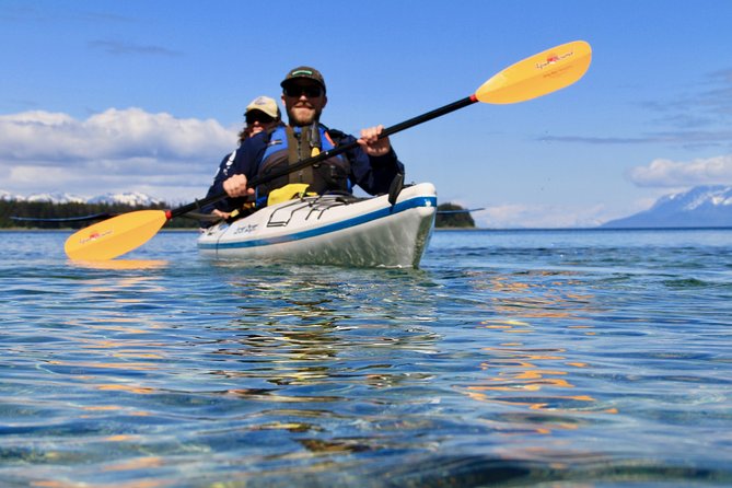 Paddle With Whales! Kayak Adventure - Paddle Alongside Whales