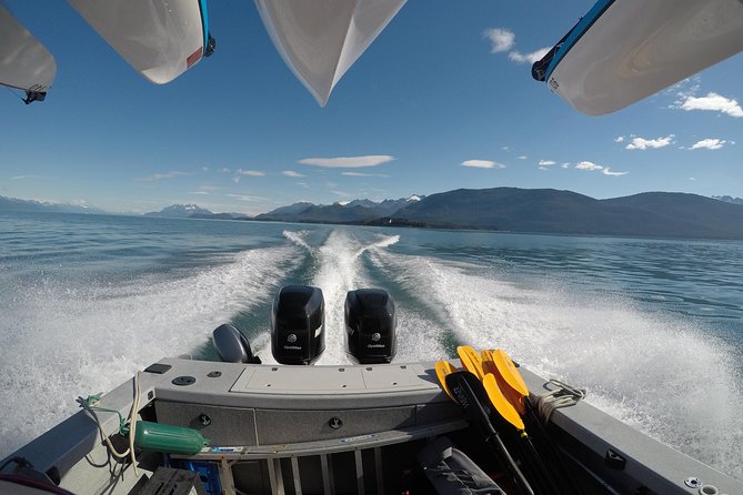 Paddle With Whales! Kayak Adventure - Exploring Juneaus Coastline