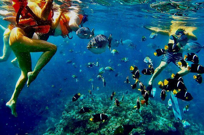 Paddleboard and Snorkeling Experience in Los Arcos - The Value of This Tour
