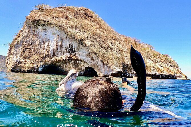Paddleboard and Snorkeling Experience in Los Arcos - The Sum Up