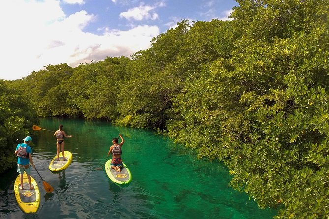 Paddleboard Cenote Tour - Inclusions