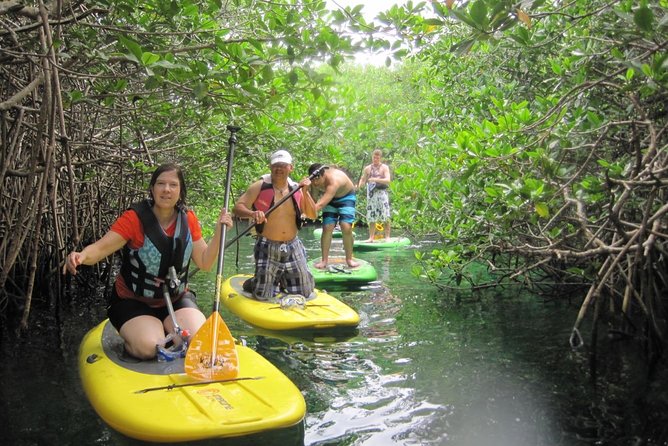 Paddleboard Cenote Tour - Meeting and Pickup