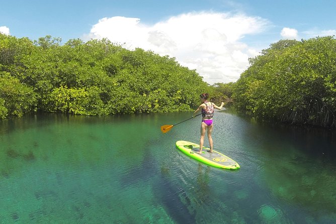 Paddleboard Cenote Tour - Activity Duration