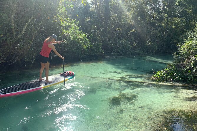 Paddleboard Emerald Cut: Orlandos Most Scenic Location! - Paddleboard Equipment and Instructor