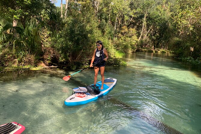 Paddleboard Emerald Cut: Orlandos Most Scenic Location! - Tour Information and Booking