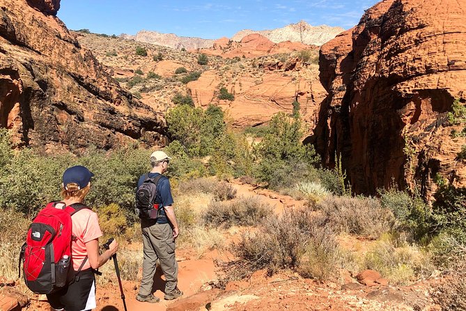 Paddleboard & Hiking 2 Day Trip From Las Vegas to Sand Hollow & Snow Canyon, UT - Activities and Highlights