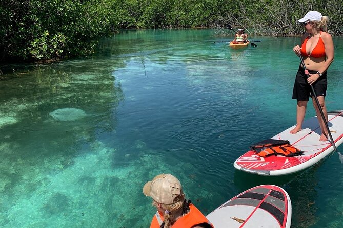 Paddleboard Kayak Tour in Cancun - Included Features