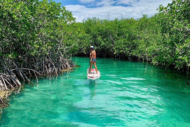 Paddleboard Kayak Tour in Cancun - Booking Information